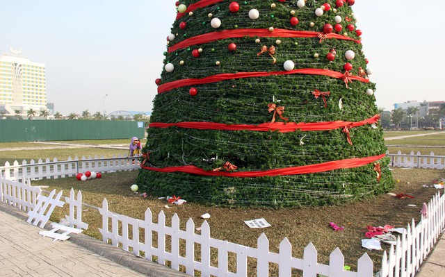 
Sau đêm 24/12, cây thông khổng lồ này đã bị người dân thiếu ý thức phá tan tác. Ảnh: báo Bắc Giang.
