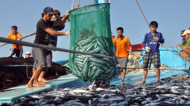 Hỗ trợ ngư dân miền Trung tiếp tục vươn khơi, bám biển, ổn định sản xuất, đời sống. Ảnh: TL