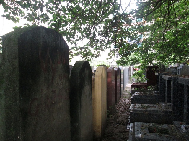 
Những ngôi mộ nằm lặng lẽ bên tán cây, được nhóm quản trang trông nom từng ngày.

 
