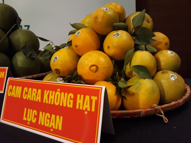 
Một số loại trái cây đặc sản của Lục Ngạn, Bắc Giang
