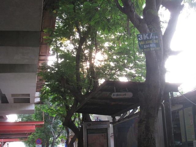 
Tấm biển mini trên đường Xuân Thủy (Cầu Giấy).

 
