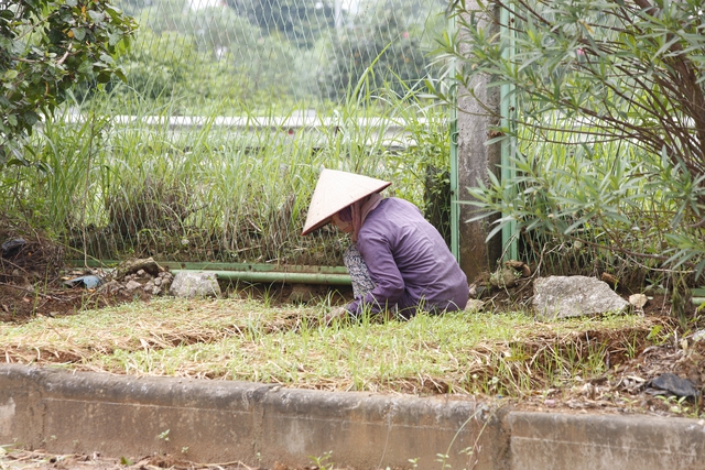 Người dân tự ý cải tạo phần đất được sử dụng để trồng cây xanh ven đường.