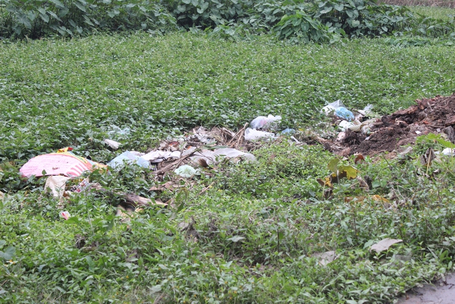 
Tại nhiều khu vực ngoại thành Hà Nội, những khu đất không sử dụng như ruộng bỏ hoang đều trở thành điểm tập kết rác của người dân.
