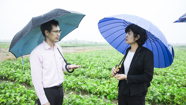 
Bà Nguyễn Lam Giang - GĐ Tổ chức Helvetas Việt Nam và Ông Phạm Văn Đông – GĐ Công ty Nam Dược tại vùng trồng đậu nành theo tiêu chuẩn GACP - WHO tại Việt Nam của nhãn hàng Bảo Xuân
