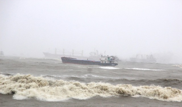 
Tàu vỏ thép bị mắc cạn trên vùng biển Quy Nhơn.
