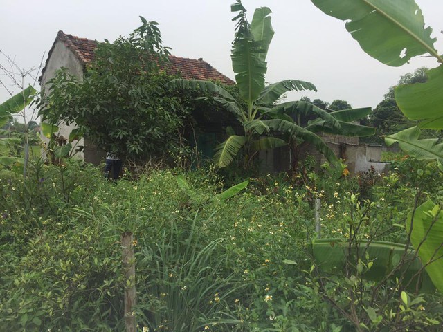 
Căn nhà của Tuấn, nơi tên này ra tay sát hại dã man anh Thao vào đêm 21/5 nằm hoang vắng sát cánh đồng, chỉ cách sông Bắc Hưng Hải 100m.

