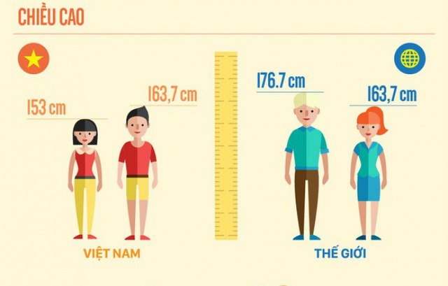 
Minh họa về chiều cao trung bình của người việt và thế giới. Ảnh tư liệu
