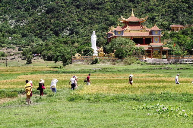 Chùa Hải Tạng ở Cù Lao Chàm. Ảnh: T.L