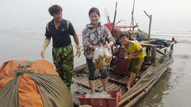 Ngư dân xã Diễn Kim khai thác sứa trở về bến, nhập cho cơ sở chế biến. Ảnh: T.DŨNG