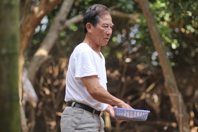 Tại xã Tiên Phong, ông Xưởng được biết đến là người có nhiều kinh nghiệm nuôi gà Móng.