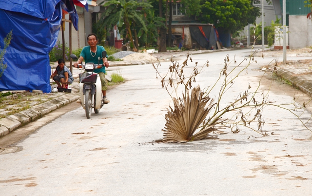 Nắp cống bị mất được cắm những cành cây để báo hiệu.