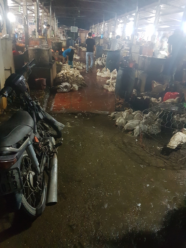 Khu bày bán và giết mổ vịt của chợ tạm La Khê (Hà Đông - Hà Nội). Ảnh: PV