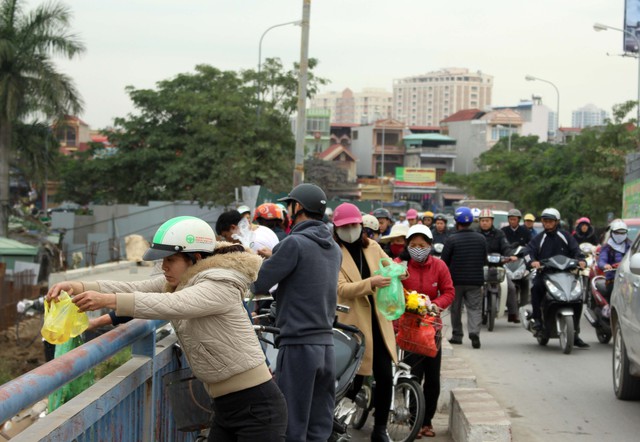 
Đa số thả cá từ trên cầu xuống sông.
