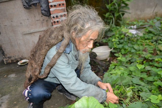 
Vườn khoai lang sau nhà chính là rau ăn hàng ngày của ông
