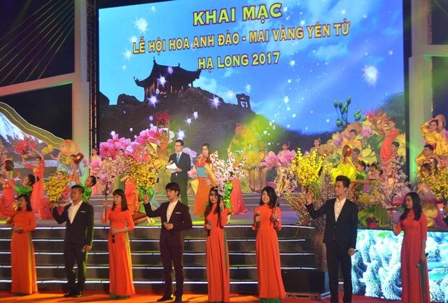 
Lễ khai mạc lễ hội hoa anh đào - mai vàng Yên Tử, Hạ Long 2017. Ảnh: Đ.Tuỳ
