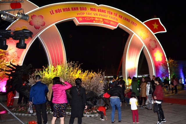 
Lễ hội hoa anh đào - mai vàng Yên Tử, Hạ Long 2017 đang hút nhiều du khách. Ảnh: Đ.Tuỳ
