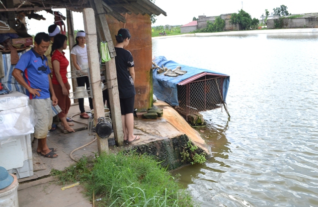 
Khu vực bờ ao cạnh bể nước, nơi hai chị em Hường gặp nạn. Ảnh: Đ.Tuỳ
