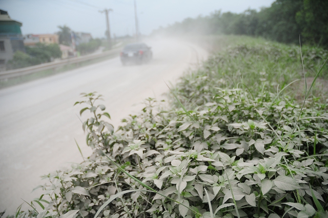 Mặt đường đê Nguyễn Khoái lúc nào cũng trong cảnh bụi mù. Cây cối hai bên đường cũng bị một lớp bụi dày bao phủ.