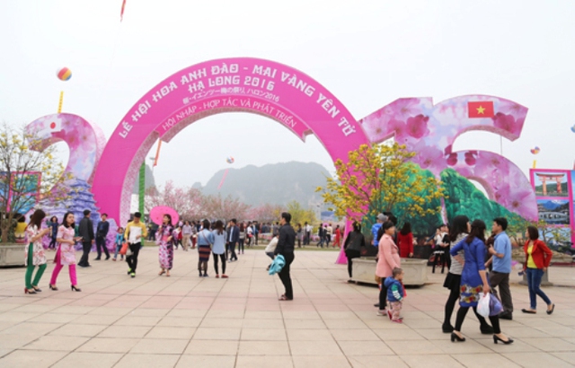 
Tỉnh Quảng Ninh cam kết không sử dụng hoa giả trong lễ hội hoa năm nay. Ảnh: TL
