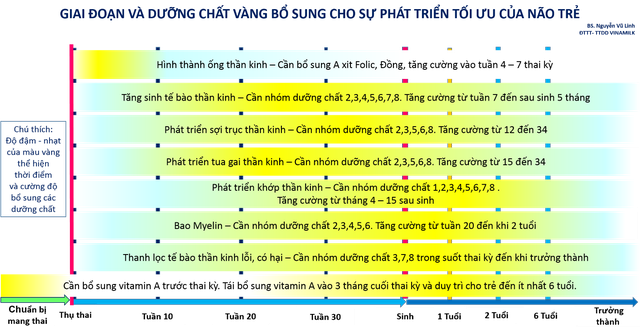 Vai trò tuyệt vời của sữa mẹ trong 6 tháng đầu đời là bất biến