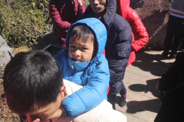 
Nhiều em chọn cách khám phá đỉnh núi bằng cách ngồi trên lưng bố.
