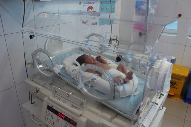 
Bệnh nhi sinh non được chăm sóc tại Đơn nguyên sơ sinh, Bệnh viện Sản nhi Bắc Ninh.

