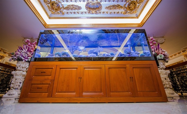 Bể cá lớn được đặt ở tầng lửng, tạo không gian mát mẻ và thư giãn.