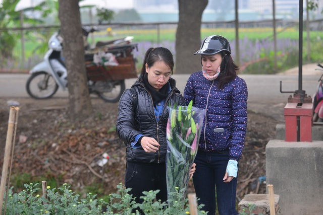 
2 bạn nữ quê Nghệ An ra tận vườn để mua hoa về bán trong dịp Tết sắp tới.
