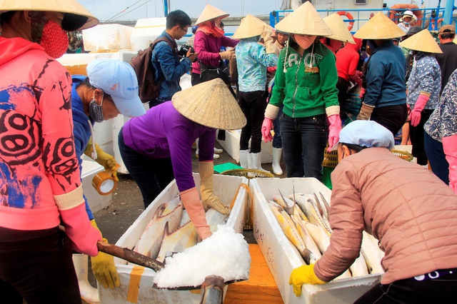 
Nhiều tiểu thương chen nhau mua số cá khủng. Ảnh: N.V
