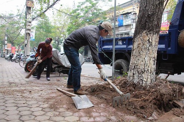 
Một số hộ dân cùng tham gia dọn dẹp, làm sạch hè phố
