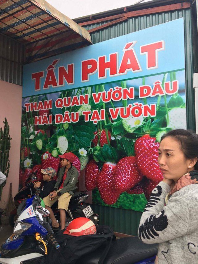 Hai cậu nhỏ đang ngồi trên xe máy trước cửa tiệm bán “đặc sản” chính là người đã đưa đoàn du lịch của anh Nguyễn Phúc vào vườn rau… xà lách rồi bỏ mặc.