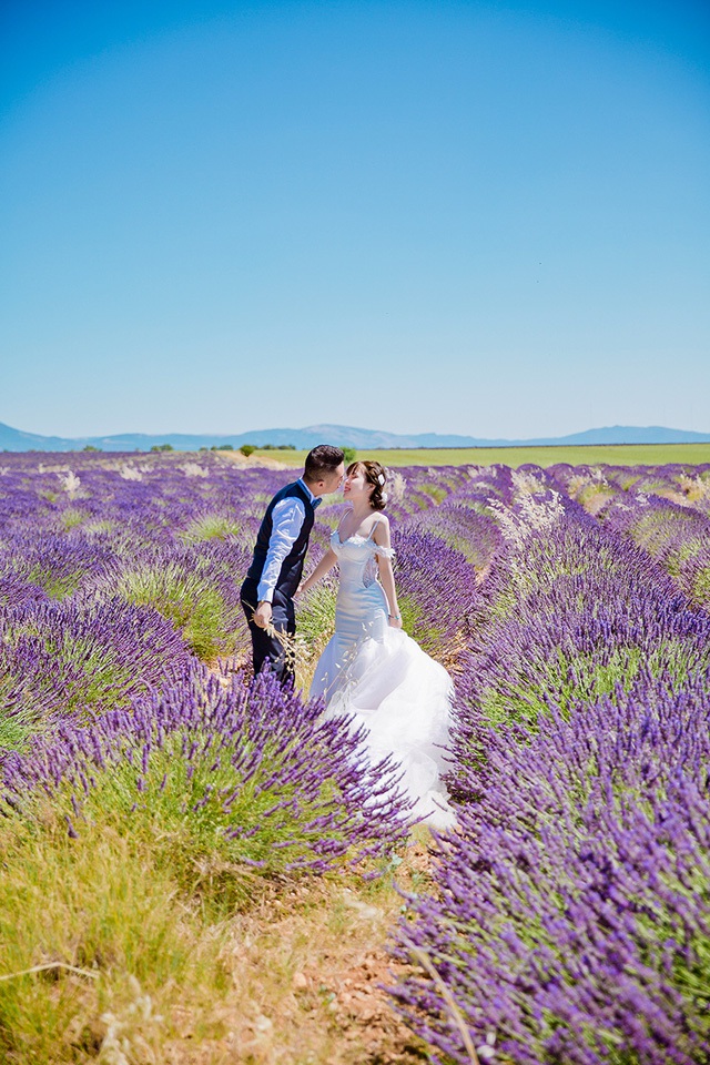 Bộ ảnh cưới được chụp trên cánh đồng hoa lavender (oải hương) nước Pháp vô cùng lãng mạn.
