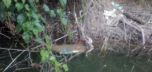 
Bộ xương người được người dân phát hiện ở khu vực thủy điện Sông Bung 4.
