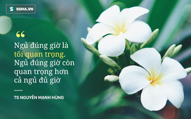 TS Nguyễn Mạnh H&ugrave;ng: Rất nhiều người đang ngủ sai giờ. Họ kh&ocirc;ng biết đường tới nghĩa địa dần ngắn lại - Ảnh 8.