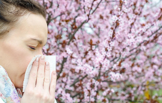 
Mùa xuân là thời điểm nhiều người phải sống chung với những cơn hắt hơi liên tục từ chiếc mũi nhạy cảm của mình.

