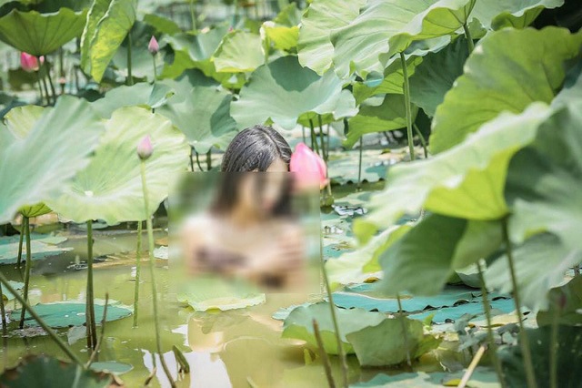 Hình ảnh hở bạo của thiếu nữ ở đầm sen Hà Nội đang gây tranh cãi trên mạng xã hội