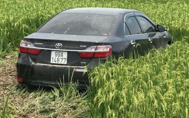 Chiếc ô tô gây tai nạn rồi lao xuống ruộng lúa.