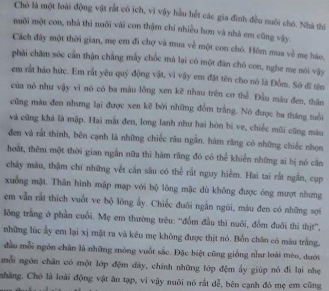 
B&agrave;i văn tả con ch&oacute; được c&ocirc; gi&aacute;o in cho học sinh thuộc l&ograve;ng.
