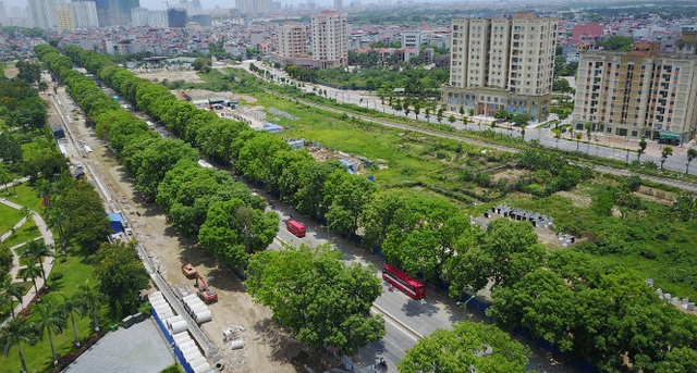 
Ảnh chụp từ trên cao hàng cây xanh trong kế hoạch chặt hạ, di chuyển nằm hai bên đường Phạm Văn Đồng từ chân cầu vượt Mai Dịch đến cầu Thăng Long- Ảnh: P.Hùng
