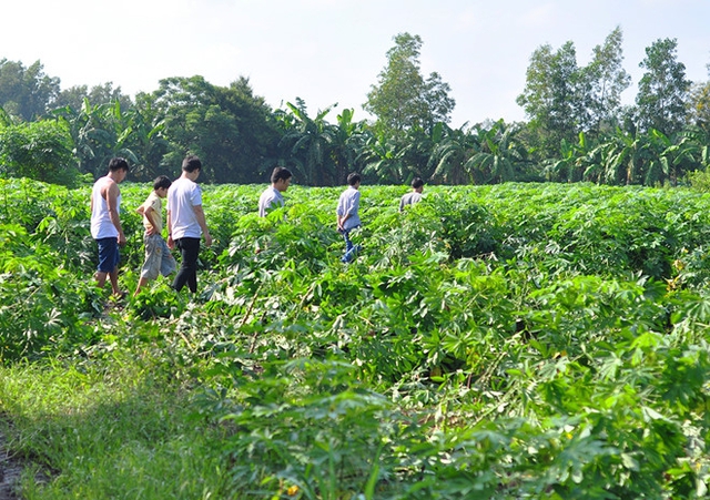 
Vườn c&acirc;y nghi can cố thủ rồi cầm s&uacute;ng tự s&aacute;t. Ảnh: Ngọc An.
