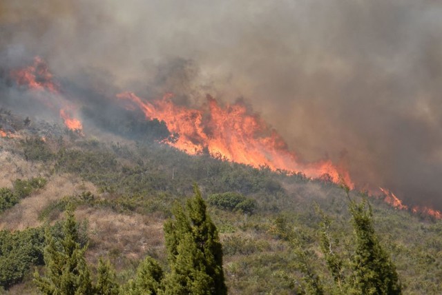Ngọn lửa qu&eacute;t qua bang California ng&agrave;y 9/10 đ&atilde; l&agrave;m &iacute;t nhất 10 người chết, 20.000 người phải đi sơ t&aacute;n, 1.500 c&ocirc;ng tr&igrave;nh bị ph&aacute; hủy v&agrave; trở th&agrave;nh trận ch&aacute;y rừng g&acirc;y ph&aacute; hủy khủng khiếp trong lịch sử bang California. L&iacute;nh cứu hỏa đang vật lộn với ngọn lửa tr&ecirc;n 8 hạt của bang.
