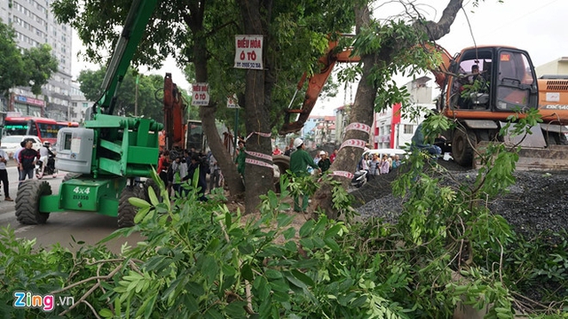 9h sáng, đơn vị thi công bắt đầu tiến hành cắt tỉa cây xanh trên đường Phạm Văn Đồng. Ảnh: Hiếu Duy.