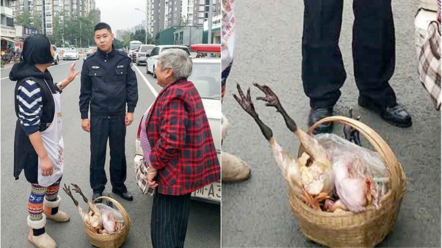 B&agrave; Li&ecirc;u với chiếc l&agrave;n đựng thức ăn cho con g&aacute;i m&igrave;nh.
