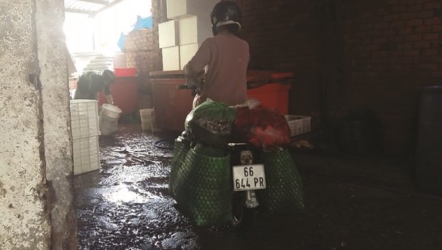 Lòng cá thối từ chợ cũng được một số người giao bằng xe gắn máy
