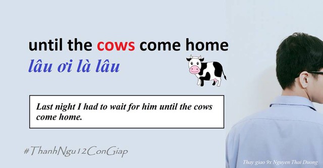 
Khi cần diễn tả thời gian rất dài, người bản ngữ thường dùng thành ngữ Until the cows come home.
