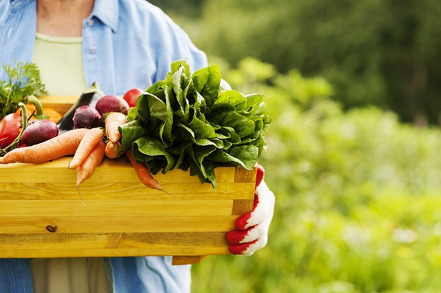 
Hoa quả và rau củ là hai loại thực phẩm chứa nhiều kiềm.
