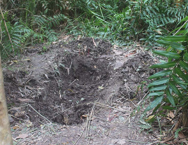 
Hiện trường nơi phát hiện thi thể bé Nguyệt bị chôn
