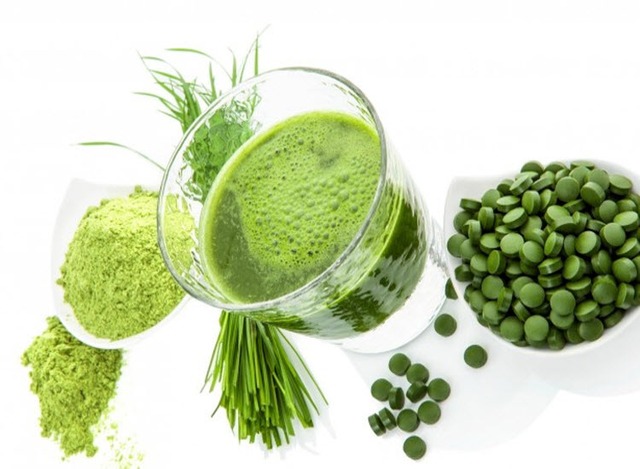 Tảo Spirulina – siêu thực phẩm xanh giúp người gầy tăng cân an toàn