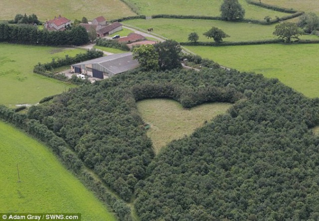 Từ tr&ecirc;n cao, khu vườn của &ocirc;ng Winston Howe tr&ocirc;ng thật tuyệt vời với h&igrave;nh tr&aacute;i tim b&iacute; mật ở giữa.