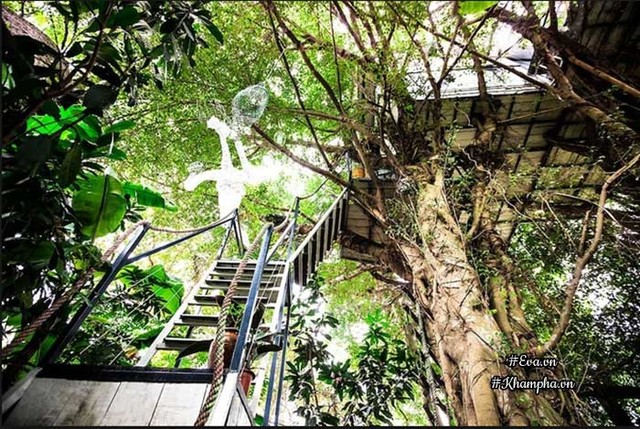 Ngôi nhà trên cây - điểm nhấn trong hệ thống nhà cây của họa sĩ Đào Anh Khánh ở Long Biên, Hà Nội.